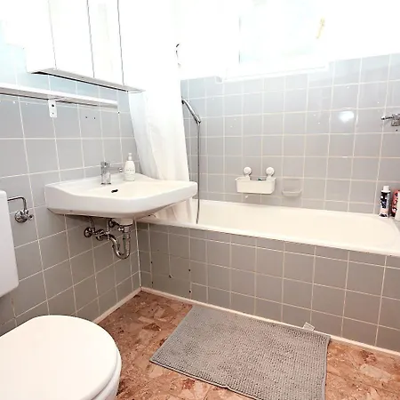 Hohes-ufer-kiebitz